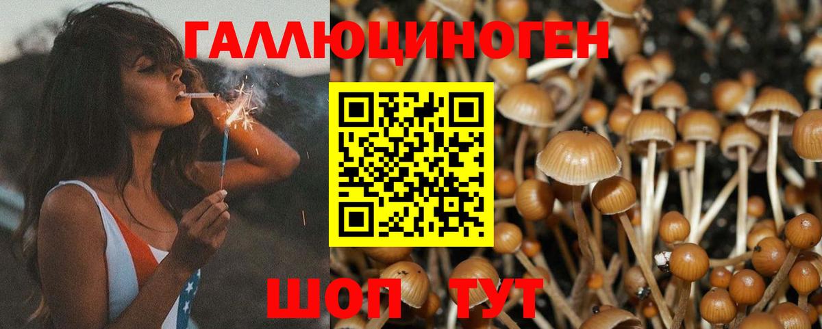 Псилоцибиновые грибы MAGIC MUSHROOMS Нововоронеж