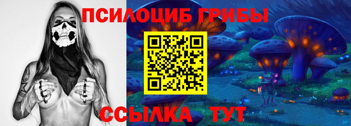 Галлюциногенные грибы Psilocybine cubensis  Галлюциногенные грибы MAGIC MUSHROOMS  Нововоронеж  Вход с VPN 